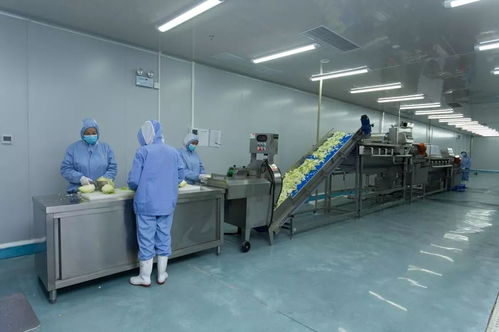 個性化定制 代言你的與眾不同，走進會員企業的獨特風采